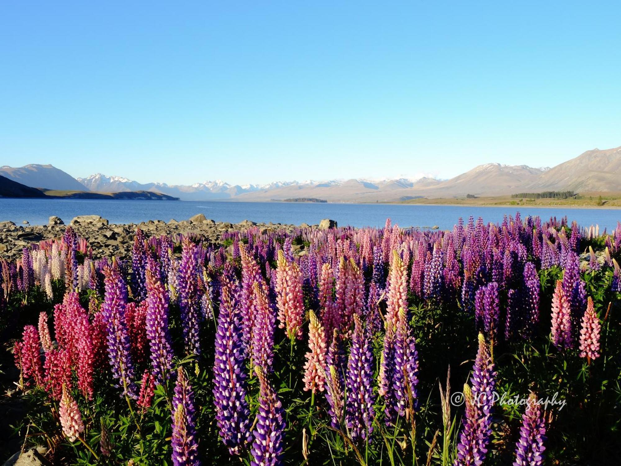 Tekapo Luxury Apartments 特卡波湖 外观 照片